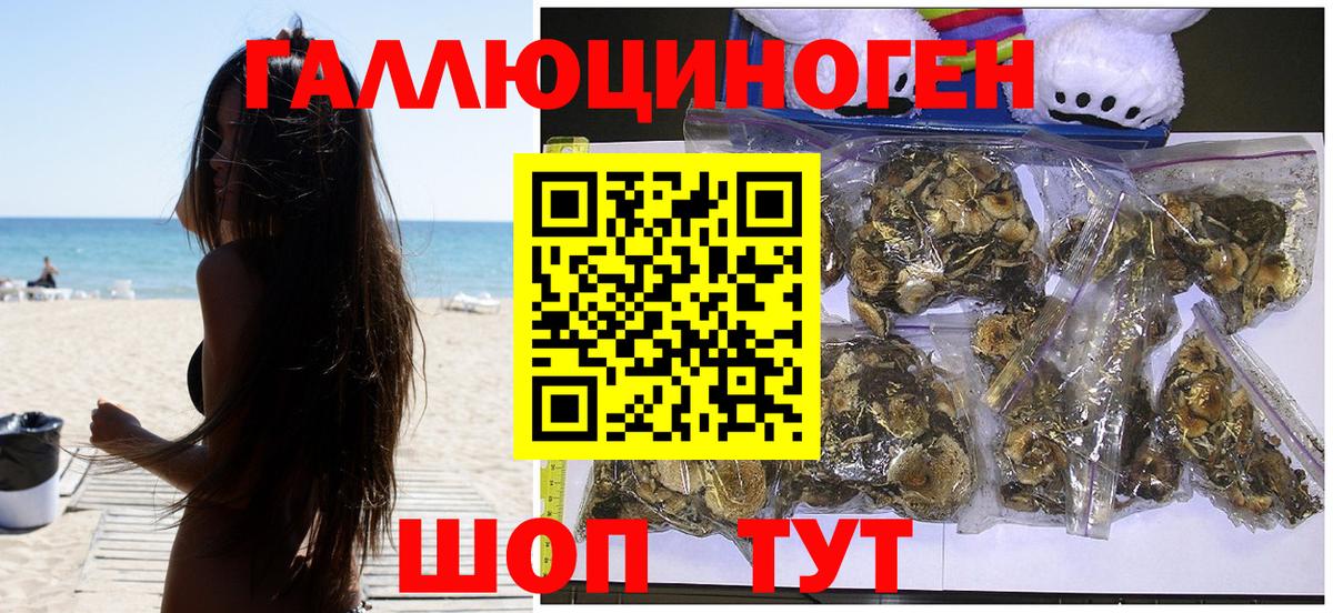 Коммунар  Псилоцибиновые грибы Cubensis  Вход с VPN 